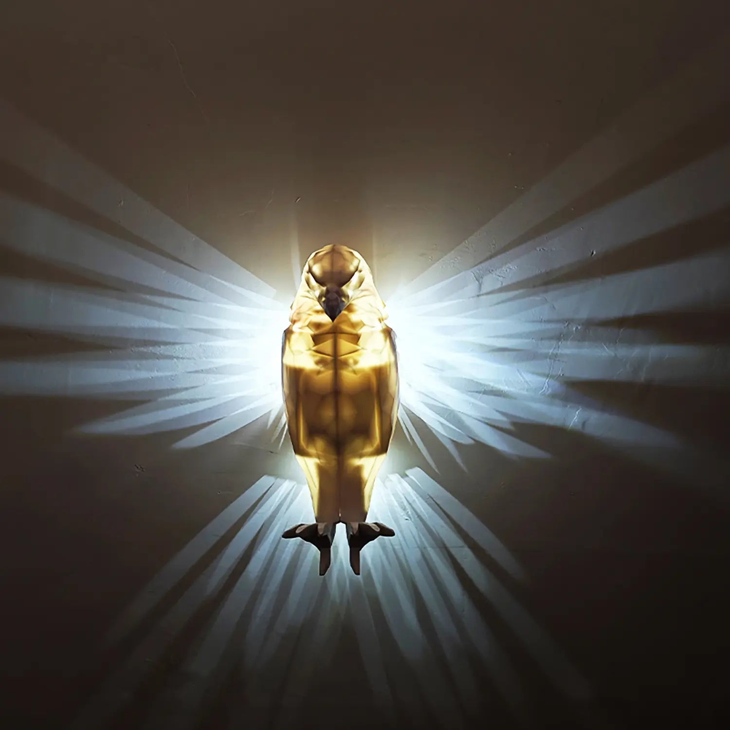 Eagle Wings 3D Wall Light & Shadow